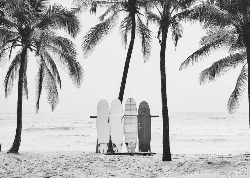 Surfboards beach poster with a black and white view of surfboards on a beach with palm trees