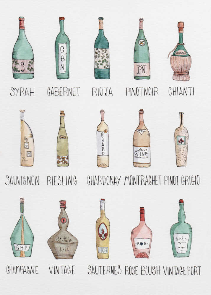 Watercolor wine bottles chart poster with a watercolor illustration of various labeled wine bottles