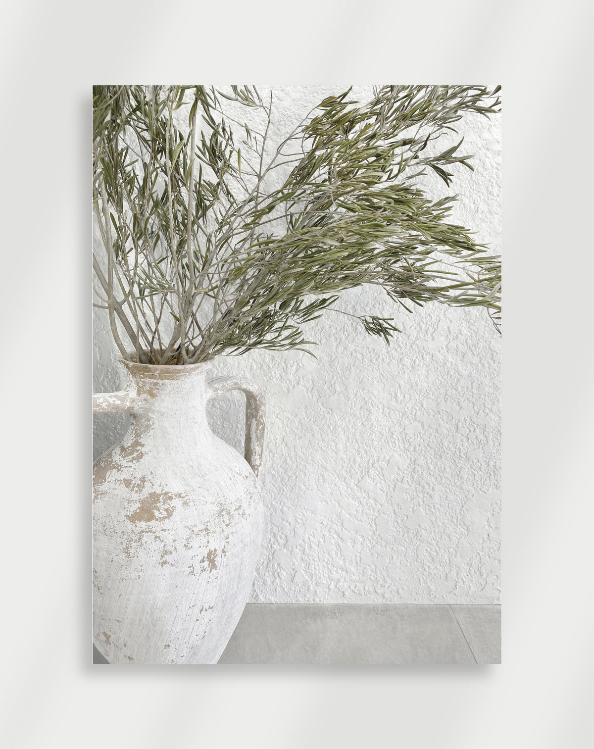White vase olive branches poster with a weathered white ceramic vase holding olive branches against a white wall