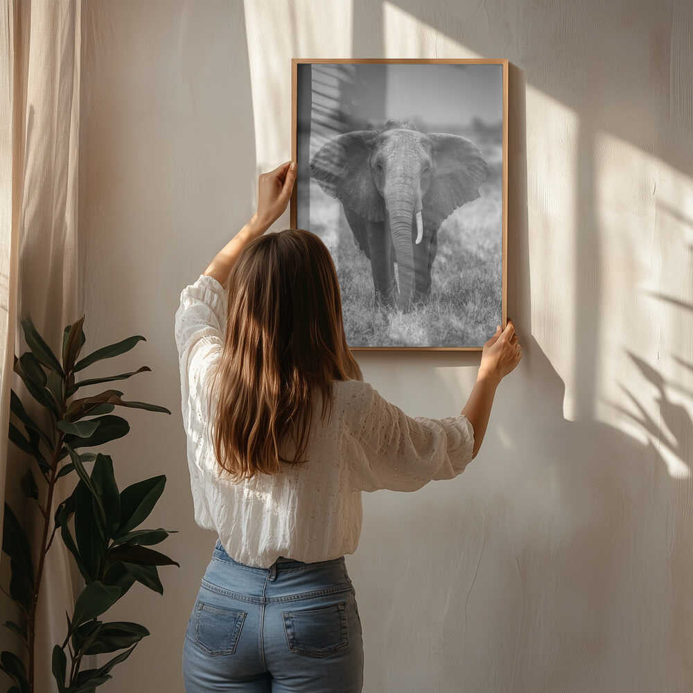 Elephant portrait Poster