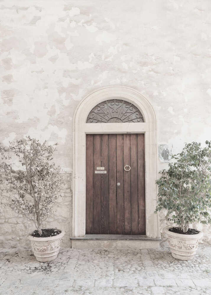 Wooden arched door poster with a wooden arched door in a white wall flanked by potted plants