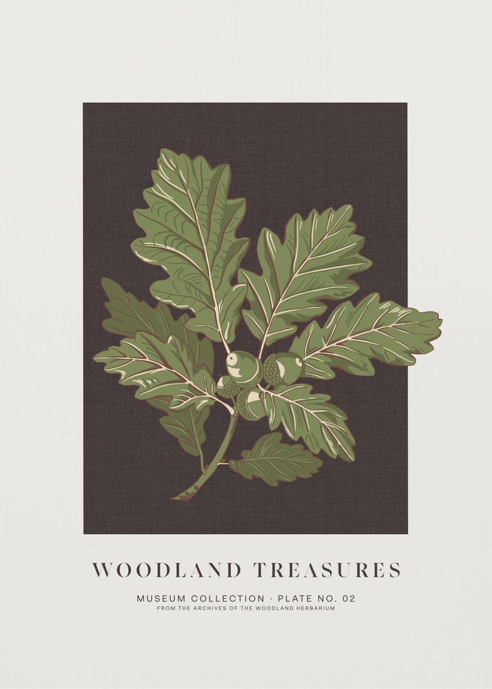 Woodland treasures oak leaves poster with a botanical illustration of green oak leaves and acorns on a dark background